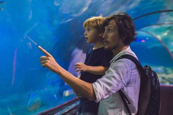 Padre e figlio che guardano il pesce — Foto Stock