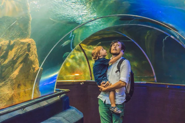 Батько і син дивляться на рибу — стокове фото