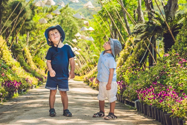 Два хлопчика, мандрівників у В'єтнамі — стокове фото