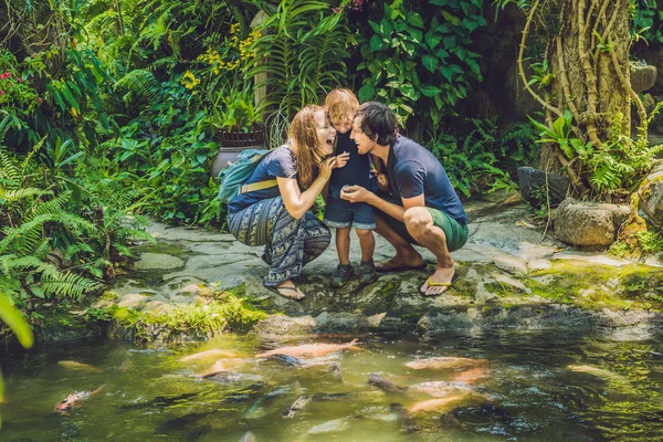 Familia feliz alimentación colorido bagre —  Fotos de Stock