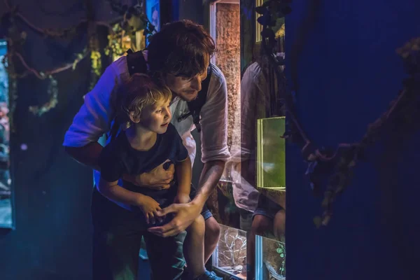 Father and son look at the fish — Stock Photo, Image