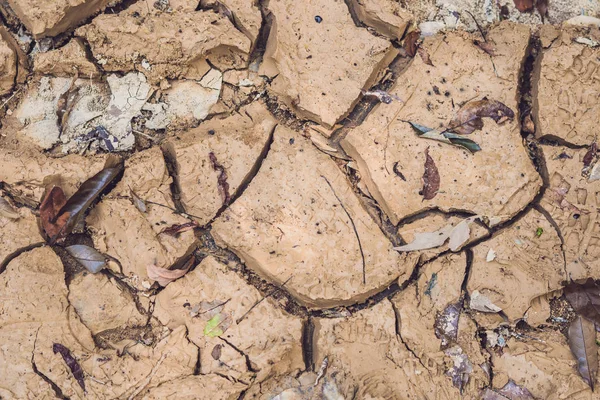 Kering retak bumi — Stok Foto