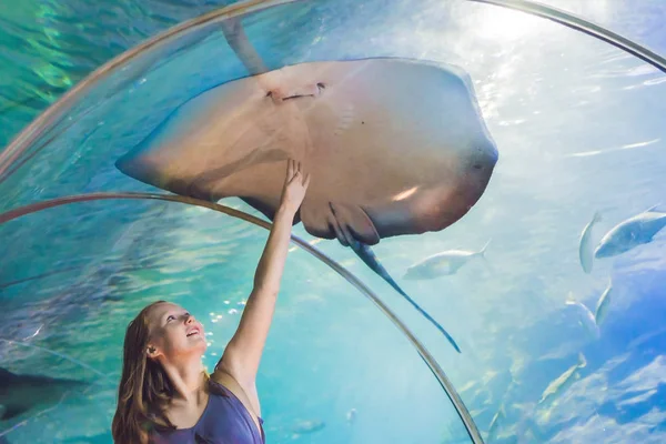 Jovem mulher toca um peixe stingray — Fotografia de Stock