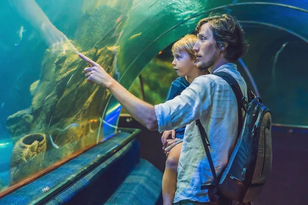 Vader en zoon kijken naar de vis — Stockfoto