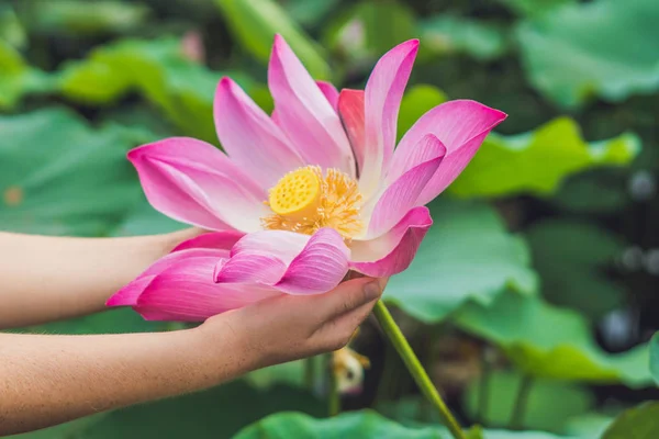 Mujer con flor de loto en las manos — Foto de Stock
