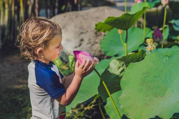 De jongen houdt een lotusbloem — Stockfoto