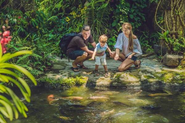 Šťastná rodina krmení barevné sumec — Stock fotografie