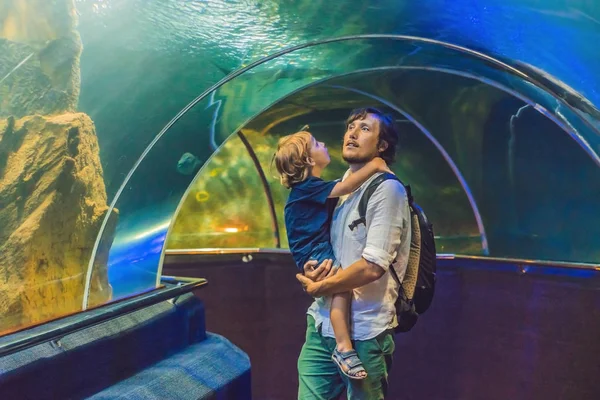Apa és fia nézni a hal — Stock Fotó