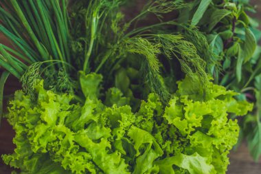 Taze organik otlar çeşitli 