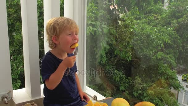 Маленький милый мальчик ест манго — стоковое видео