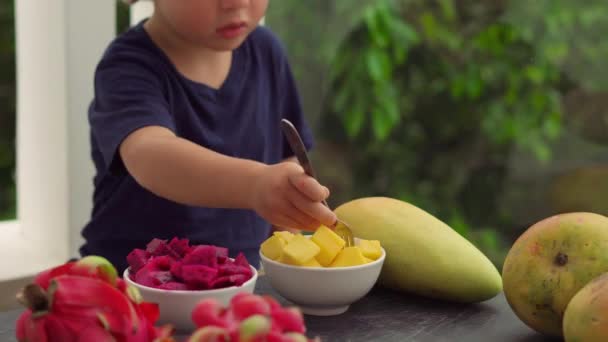 Aranyos kisfiú, eszik mangó — Stock videók