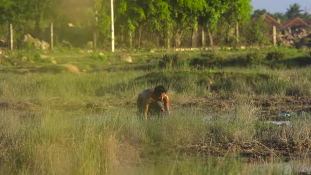 Asian man searching for something hidden — Stock Video