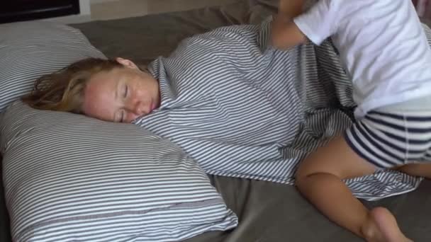 Pequeno filho acorda mãe em casa — Vídeo de Stock