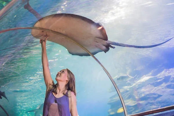 Jonge vrouw raakt een pijlstaartrog-vis — Stockfoto