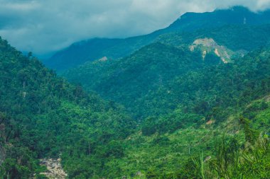 Dalat Dağları'nın muhteşem manzara