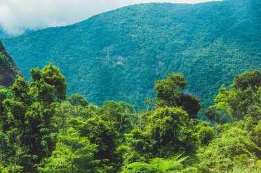 Dalat Dağları'nın muhteşem manzara