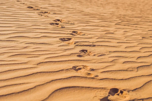 Huellas en la arena en el desierto rojo — Foto de Stock