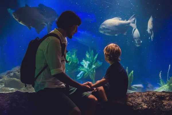 Padre e figlio guardano il pesce — Foto Stock