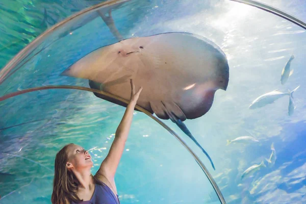 Genç kadın bir vatoz balığı dokunur — Stok fotoğraf
