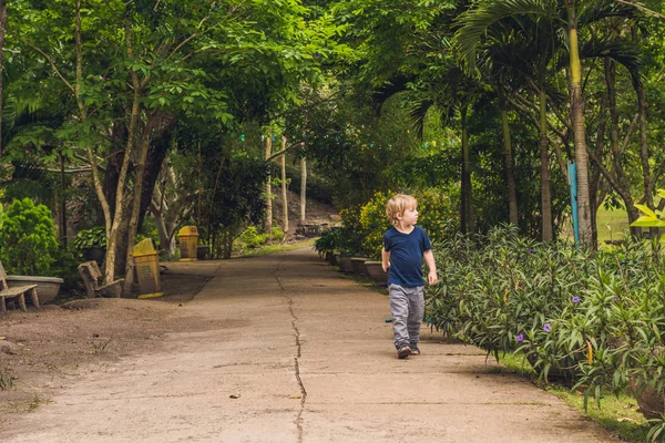 Chlapec chodí do tropického parku — Stock fotografie