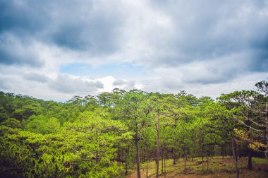Dalat Dağları'nın muhteşem manzara