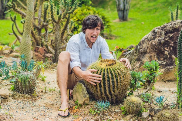 adam arasında büyük kaktüsler oturuyor