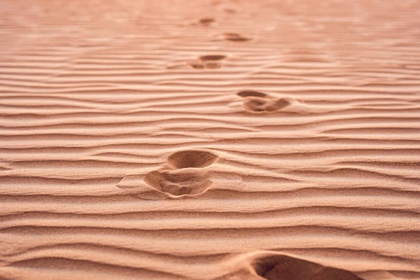 Πατημασιές στην άμμο στην κόκκινη έρημο — Φωτογραφία Αρχείου
