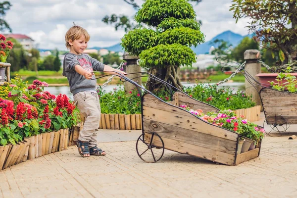 Тележка с детским колесом — стоковое фото