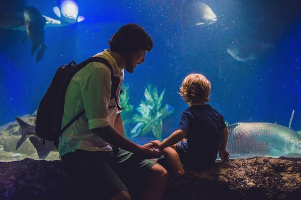 Père et fils regardent le poisson — Photo