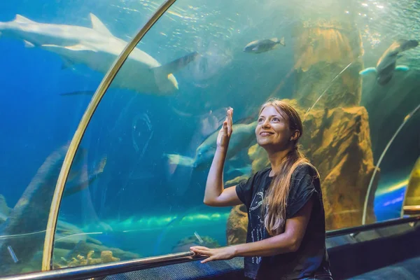 Jeune femme regardant les poissons — Photo