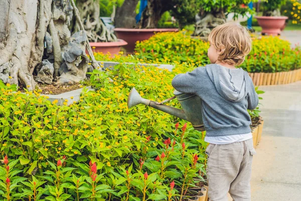 Милый мальчик поливает цветы — стоковое фото