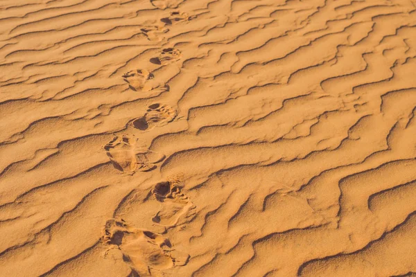 Ślady stóp na piasku na pustyni czerwony — Zdjęcie stockowe