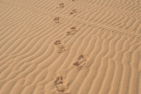 Footprints in the desert or  sand