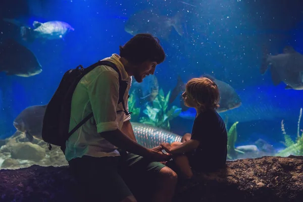 Padre e figlio guardano il pesce — Foto Stock