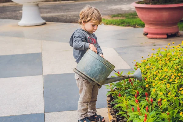 Cute little boy watering flowers — Stock Photo, Image