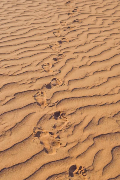 Empreintes de pas dans le sable dans le désert rouge — Photo