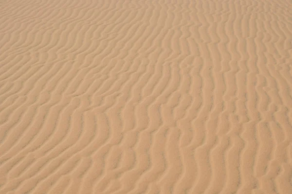 Gul sand i öknen — Stockfoto