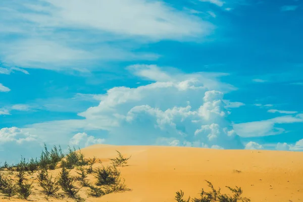 Geel zand in de woestijn — Stockfoto