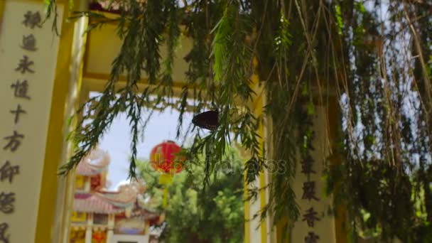 Long Son pagoda in Nha Trang — Stok video