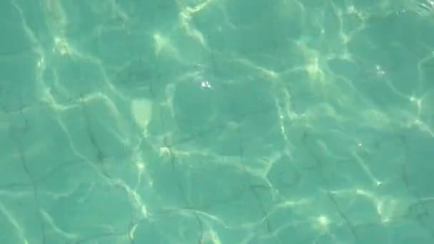 수영장에서 물에서 머리를 — 비디오