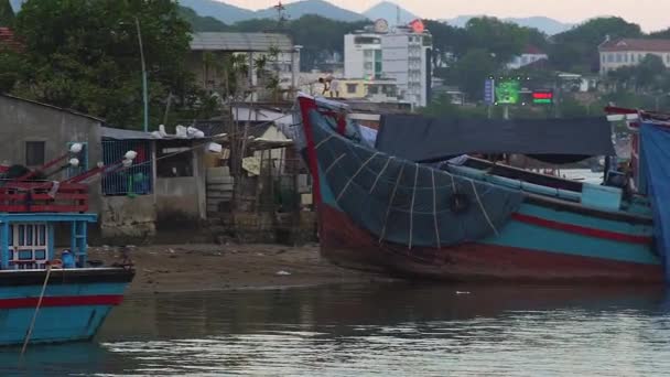 Büyük balıkçı tekneleri — Stok video