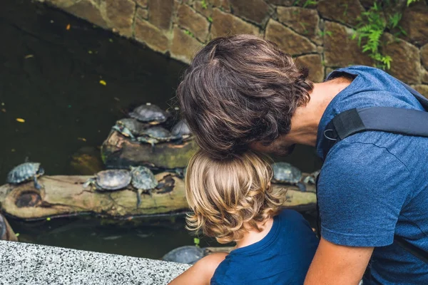 Pai e filho olham para tartarugas aquáticas — Fotografia de Stock