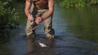 Adam bir orta boy balık iplik bir ultralight kullanarak bir dağ nehir üzerinde yakalar.