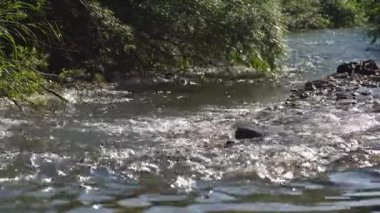 Küçük dağ nehir kadeh kilitli