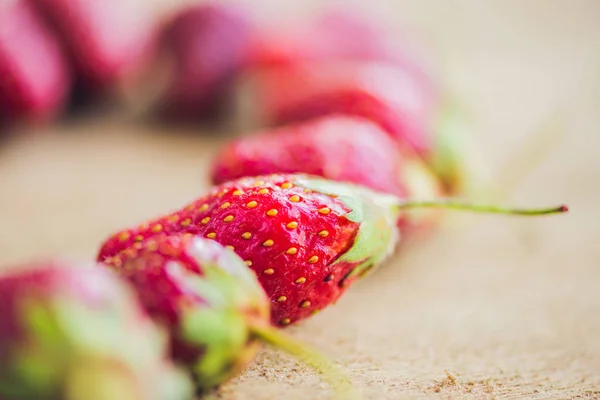 Färska ekologiska jordgubbar — Stockfoto