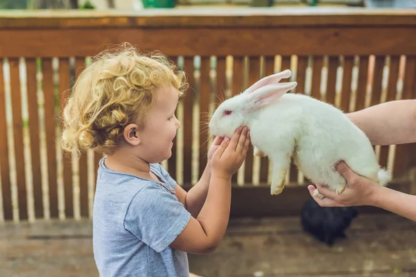 Niña jugando con conejo — Foto de Stock