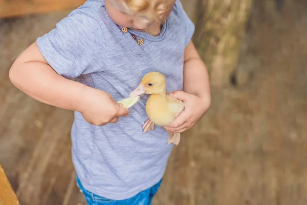 Petite fille jouant avec le canard — Photo