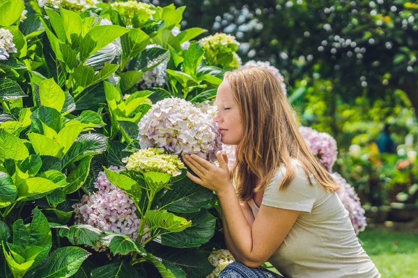 Young woman with light Pink hydrangea in the garden