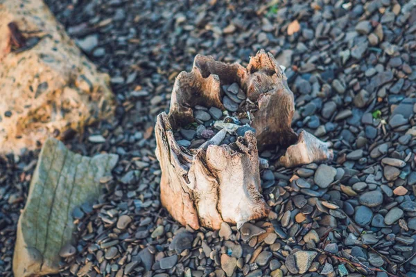 Praia Pedra Com Velho Obstáculo Pedras — Fotografia de Stock