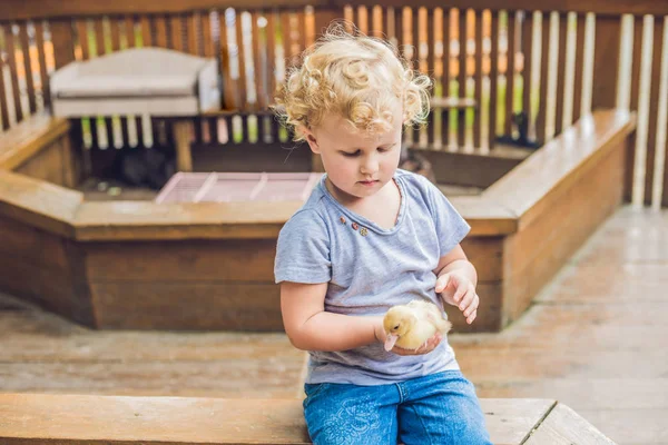 Petite fille jouant avec le canard — Photo